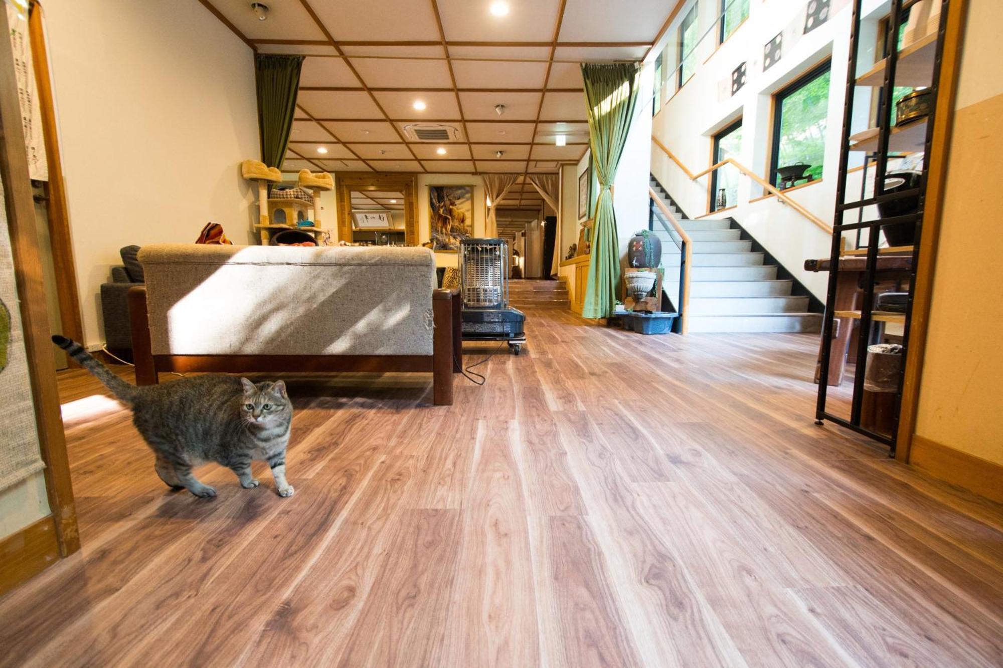 Akasawa Onsen Ryokan Nasushiobara Εξωτερικό φωτογραφία